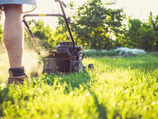 Plenen klippes med gressklipper i en hage