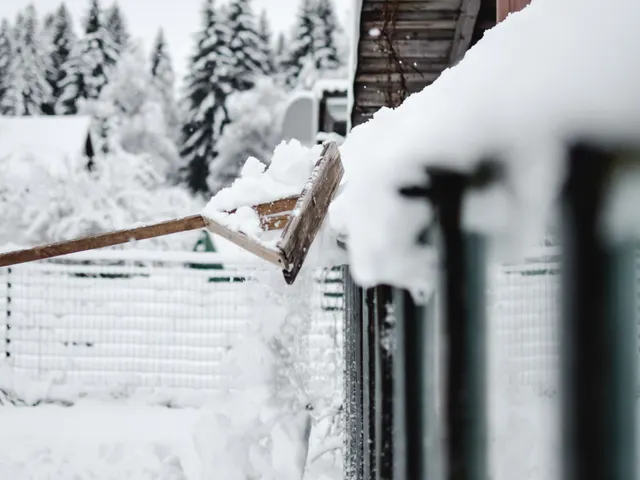 Snø skyves bort langs et gjerde med en snøskyffel i tre